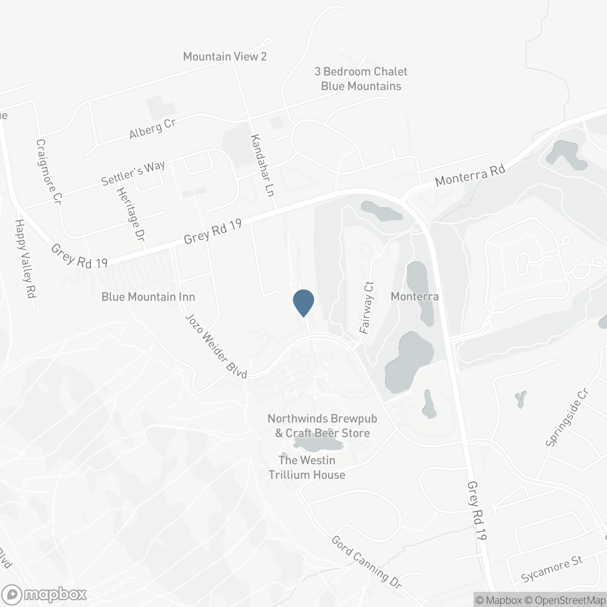 117 - 107 WINTERGREEN PL PLACE W, The Blue Mountains, Ontario L9Y 0P8